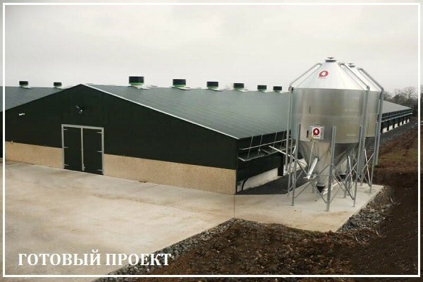Этапы возведения птицефабрики от завода ВелесТент-ктс